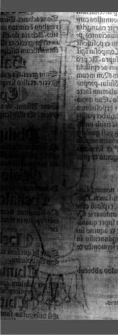 DE5580-2Incca1063_a1