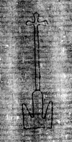 DE5580-2Incca1334_b2