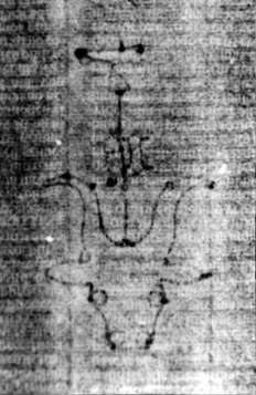 DE5580-2Incca1882-1_e2