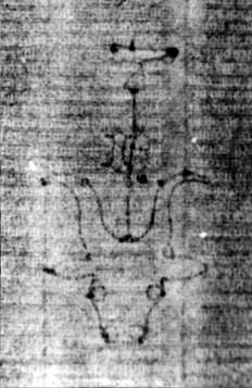 DE5580-2Incca1882-1_e2