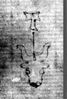 DE5580-2Incca1882-1_q7