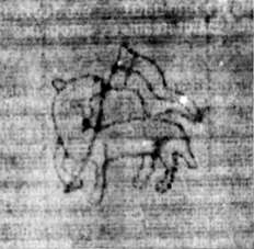 DE5580-2Incca1882-4_x3