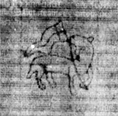 DE5580-2Incca1882-4_x3