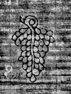 DE0960-Mlf246_30