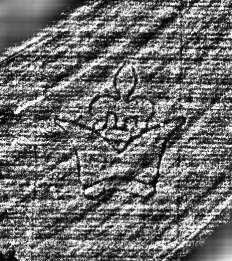 DE0960-Mlf768_189