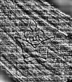 DE0960-Mlf768_189