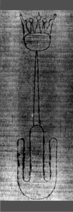 DE5580-2Incca1125_z4