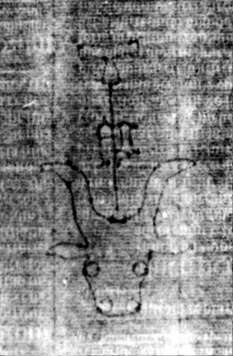 DE5580-2Incca2063a_f3