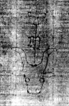 DE5580-2Incca2063a_f3