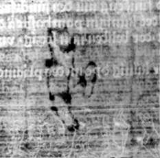 DE5580-2Incca1189_p8