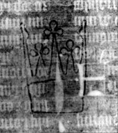 DE5580-2Incca2591_c5