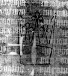 DE5580-2Incca2591_c5