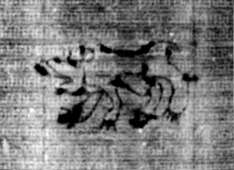 DE5580-2Incca1334_c2
