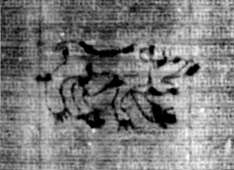 DE5580-2Incca1334_c2