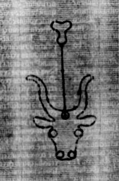 DE5580-2Incca1334_d5