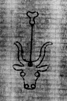 DE5580-2Incca1334_d5
