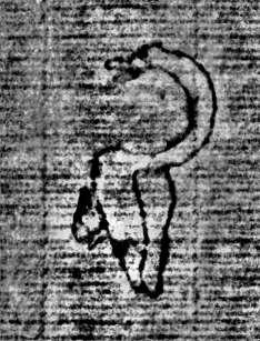 DE0960-Mgf922_88