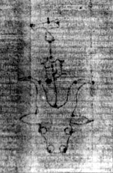 DE5580-2Incca1882-1_c2