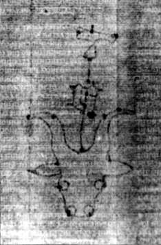 DE5580-2Incca1882-1_c2