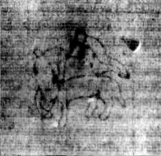 DE5580-2Incca1882-2_X9