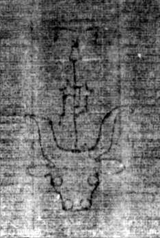 DE5580-2Incca1882-4_f7