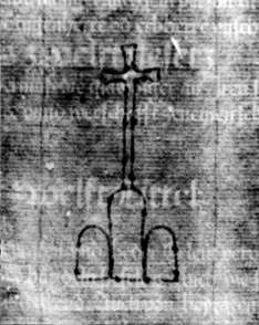DE5580-2Incca1497_b2