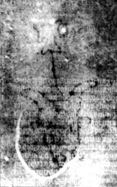 DE5580-2Incca2783_K4