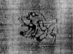 DE5580-2Incca1173_u1
