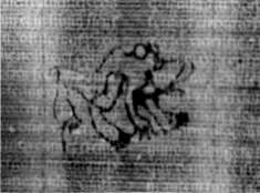 DE5580-2Incca1173_u1