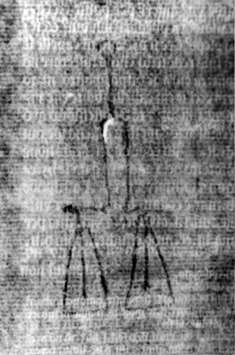 DE5580-2Incca1328_g10