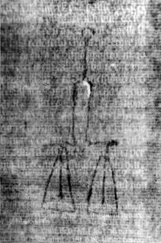 DE5580-2Incca1328_g10
