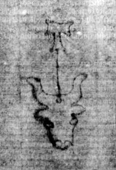 DE5580-2Incca1882-2_G2