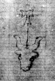 DE5580-2Incca1882-2_G2