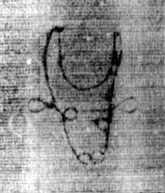 DE5580-2Incca2869_n9