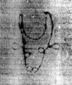 DE5580-2Incca2869_n9