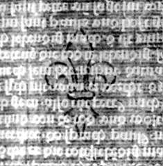 DE5580-2Incca1074_2_O3