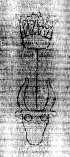 DE5580-2Incca354_M10