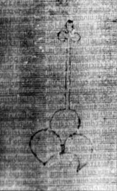 DE5580-2Incca1334_q7