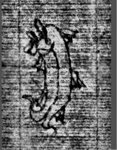 DE0960-Mgf922_23
