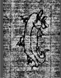 DE0960-Mgf922_23