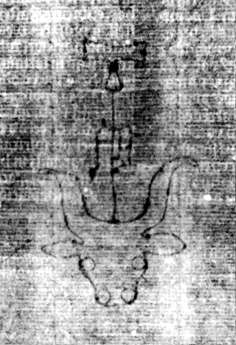 DE5580-2Incca1882-1_xx4