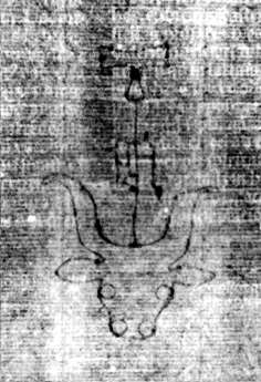 DE5580-2Incca1882-1_xx4