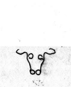 DE5580-Codgraec253_43B