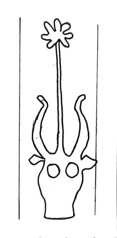 DE4860-Ms517_2