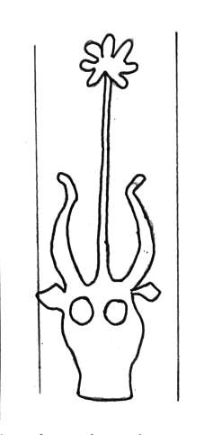 DE4860-Ms517_2