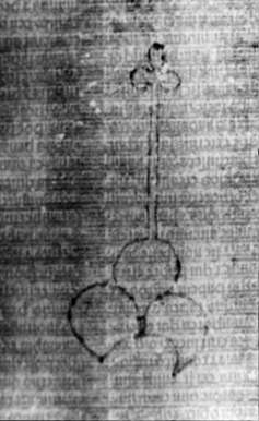 DE5580-2Incca1334_q7