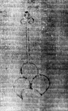 DE5580-2Incca1334_q7