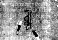 DE5580-2Incca1230_c14
