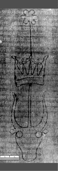DE5580-2Incca642_i1