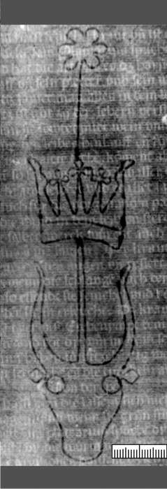 DE5580-2Incca642_i1